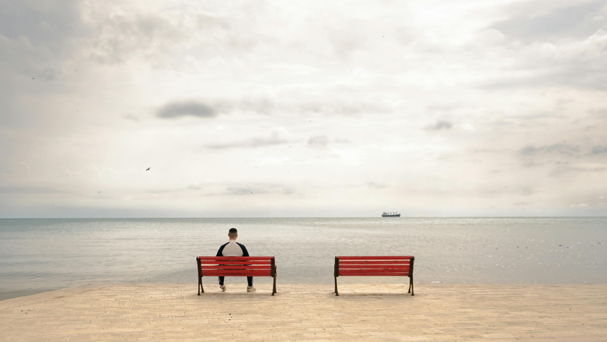  "Il fenomeno dei minori stranieri non accompagnati (MSNA). Il ruolo dei tutori alla luce della Legge Zampa"